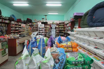 Alma Joanna Maciołek